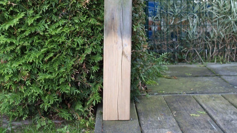 Beko TecLine Holzentgrauer, 1000ml 5 Beko TecLine Holzentgrauer, 1000ml – Bild 3