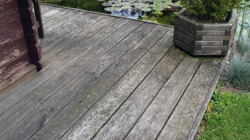 Beko TecLine Holzentgrauer, 1000ml 6 Beko TecLine Holzentgrauer, 1000ml – Bild 4