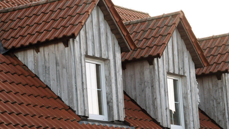 Beko TecLine Holzentgrauer, 1000ml 7 Beko TecLine Holzentgrauer, 1000ml – Bild 5