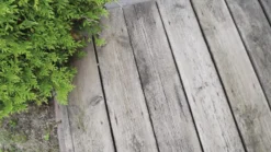 Beko TecLine Holzreiniger, 1000ml -Bauchemikalien Geschäft Holzreiniger 04