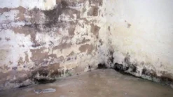 Beko TecLine Schimmelentferner, 500ml -Bauchemikalien Geschäft Schimmelentferner 03