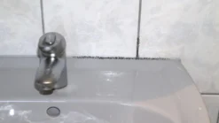 Beko TecLine Schimmelentferner, 500ml -Bauchemikalien Geschäft Schimmelentferner 04