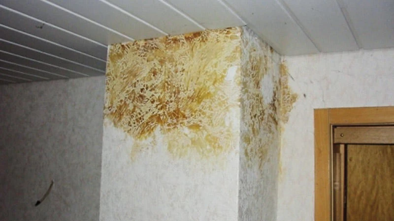 Beko TecLine Sperr- Und Isoliergrund Weiß, 400ml 4 Beko TecLine Sperr- Und Isoliergrund Weiß, 400ml – Bild 2