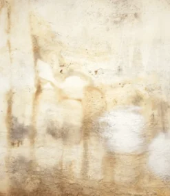 SYCOFIX ® Anti-Schimmel Aktivschaum | Chlorfrei - 500ml -Bauchemikalien Geschäft anti schimmel aktivschaum 01