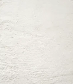 SYCOFIX ® Anti-Schimmel Aktivschaum | Chlorfrei - 500ml -Bauchemikalien Geschäft anti schimmel aktivschaum 03