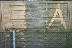 Ambratec Fungi - Algizid® - Algen- Und Schimmelentferner - 1 Ltr -Bauchemikalien Geschäft fungi algizid 04