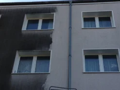 ILKA - Sanierlösung Tötet Pilz, Algen Und Schimmel -Bauchemikalien Geschäft sanierl sung fassade 2