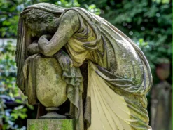 ILKA - Sanierlösung Tötet Pilz, Algen Und Schimmel -Bauchemikalien Geschäft sanierl sung friedhof