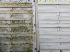 ILKA - Sanierlösung Tötet Pilz, Algen Und Schimmel -Bauchemikalien Geschäft sanierl sung holzzaun