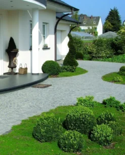 Vdw 800 2K-Pflasterfugenmörtel -Bauchemikalien Geschäft vdw 800 VS 801x1000